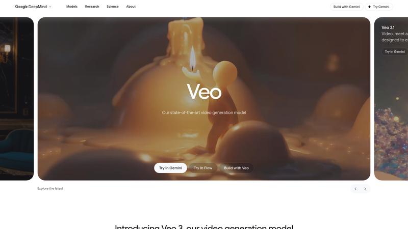 Veo Interface screenshot